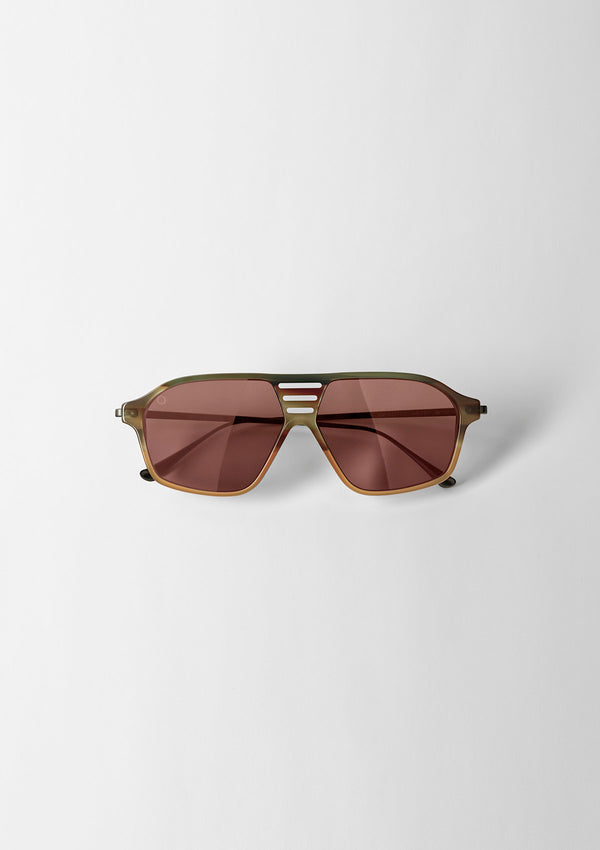 BARCHAN SYMBIOSIS BROWN